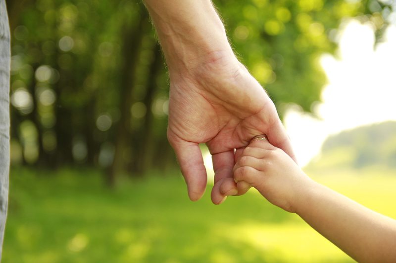 Parent Holds The Hand Of A Small Child